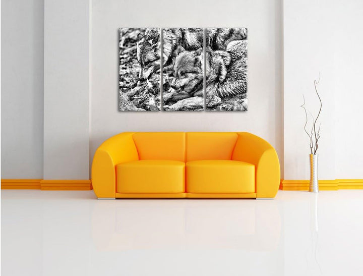 Pixxprint Monocrome, Wölfe beim Fressen 3-Teiler Leinwandbild 120x80 Bild auf Leinwand