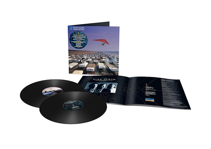 A Momentary Lapse Of Reason [Vinyl LP], Vinyl
