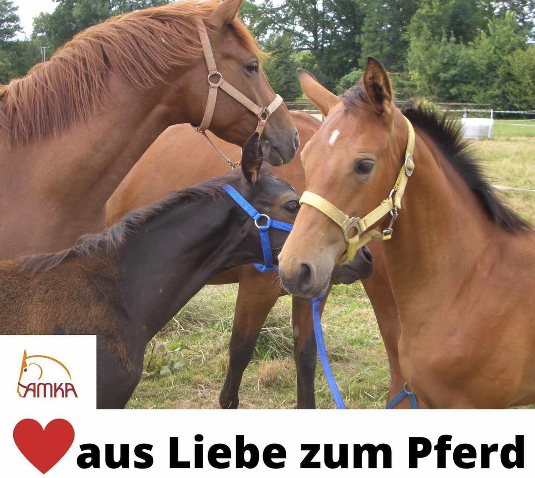 AMKA Elastisches Vorderzeug