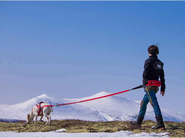 Canicross/Canirando Comfort Trek-Leine Rot