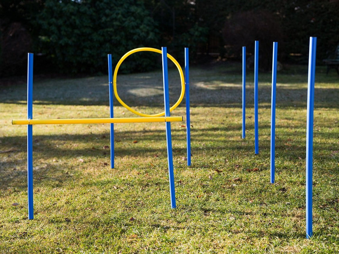 Agility Set für Hunde, Slalomstangen, Hürde und Jumpring, Hundetraining für Zuhause, Hundesport