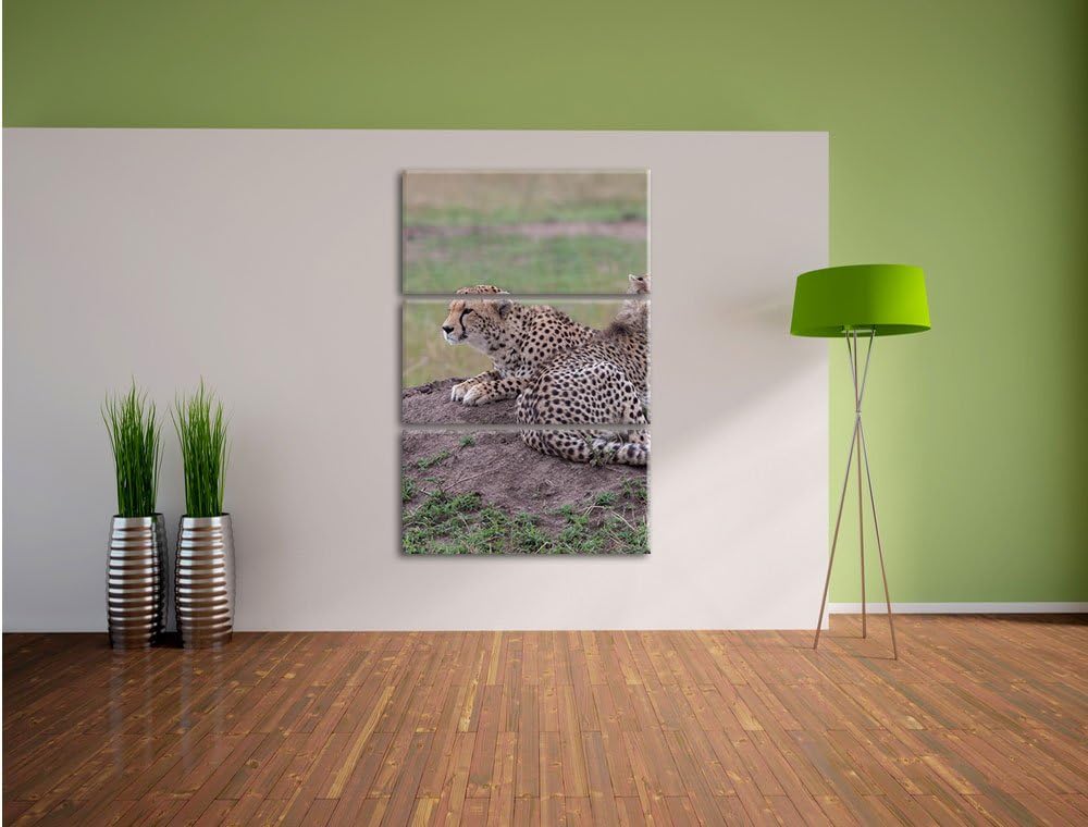 Pixxprint prächtige Geparden auf Stein / 3-Teilig/Gesamtmass 120cm Leinwandbild bespannt auf Holzrah