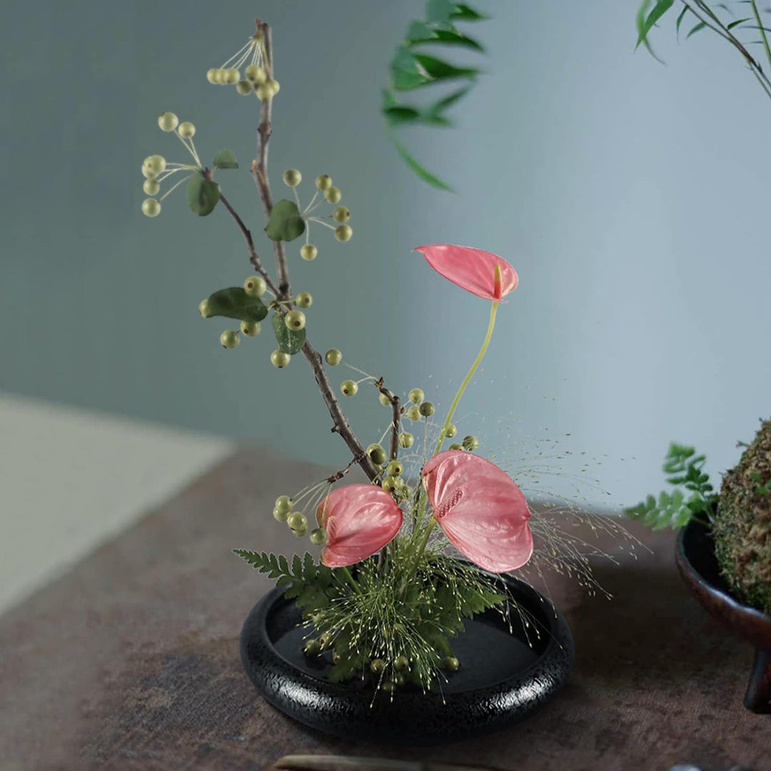 WANDIC Blumenarrangement-Zubehör, flache, runde Keramik, Ikebana-Blumenvase mit 6 cm Kenzan-Blumenfr