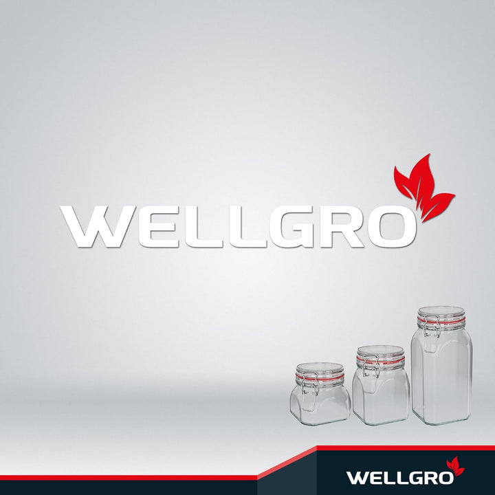 WELLGRO Einmachgläser mit Bügelverschluss eckig, Fermentierglas, Vorratsgläser mit Deckel, Bügelglas