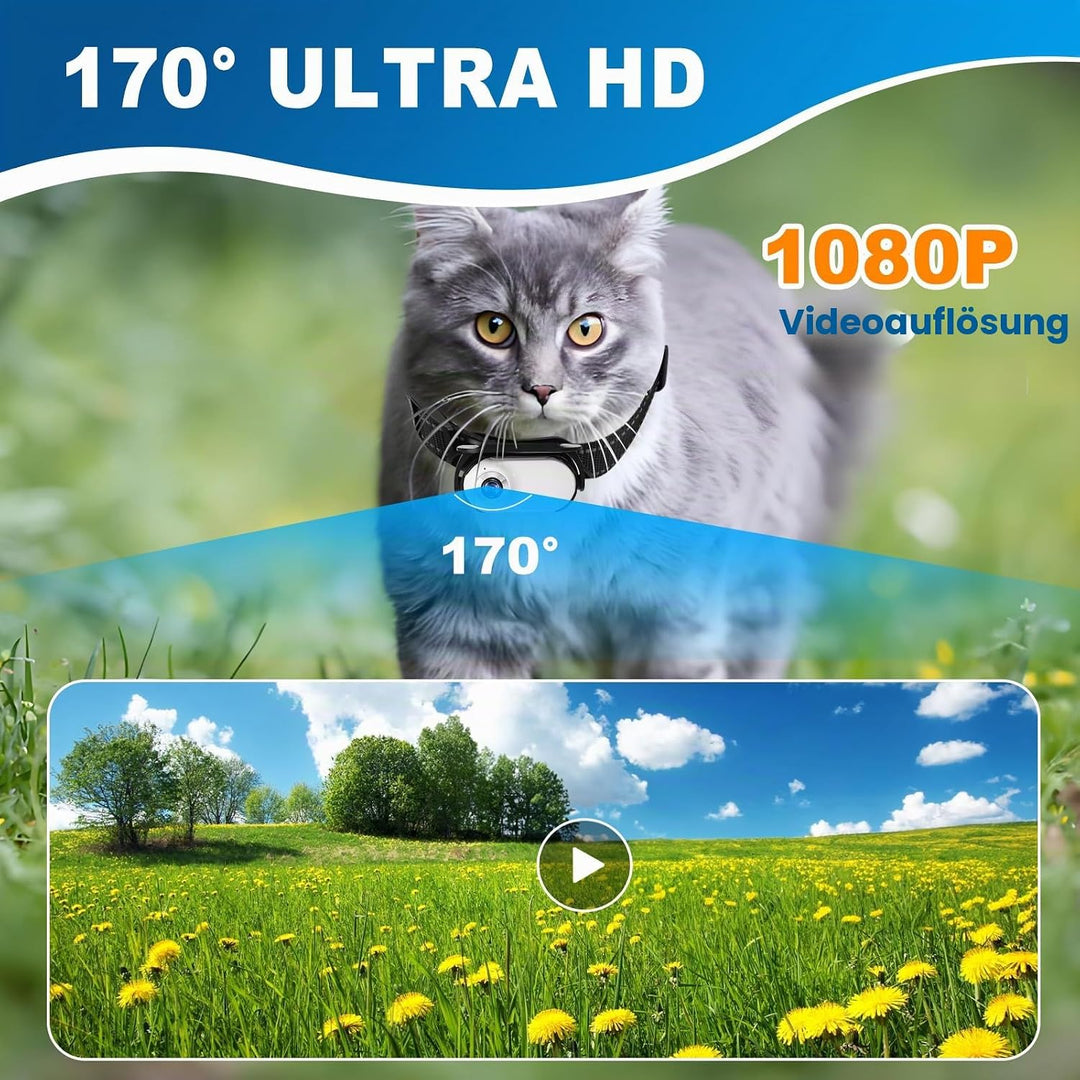 1080P Katzen-Kamera-Halsband – kabellose Mini-Sportkamera mit Videoaufnahme, kleine Action-Kamera fü