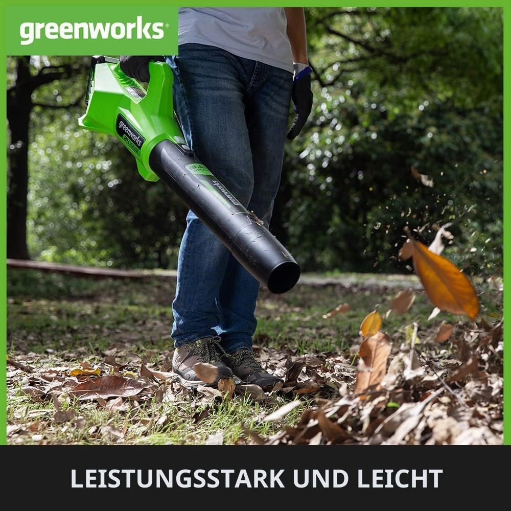 Greenworks G24ABIIK2 Axial Akku Laubbläser, 145 km/h, 9,08 m³/min 24V Akku &amp; Ladegerät, 3 Jahre Gara