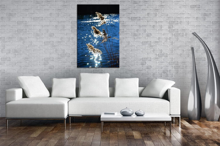 deyoli Schilf mit schimmernden Wasser im Format: 100x70 als Leinwandbild, Motiv fertig gerahmt auf E