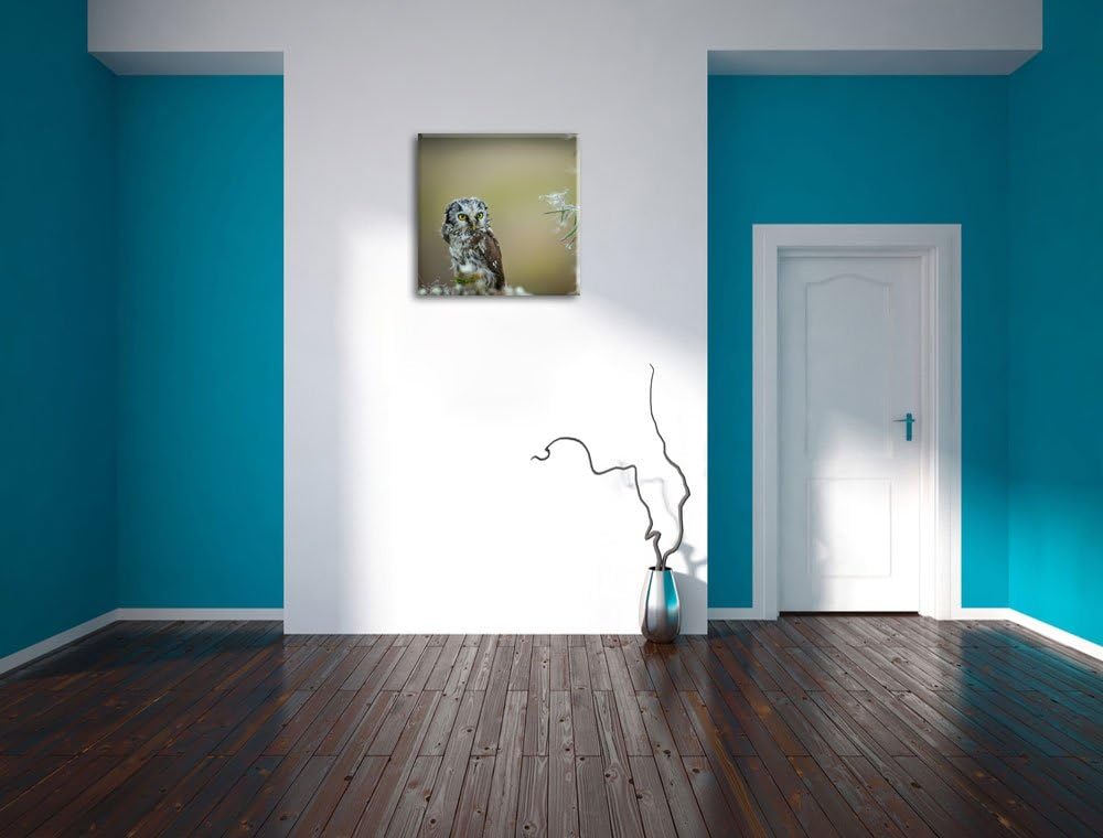 Pixxprint Kauz bestaunt Blatt als Leinwandbild Quadratisch/Grösse: 70x70 / Wandbild/Kunstdruck/ferti