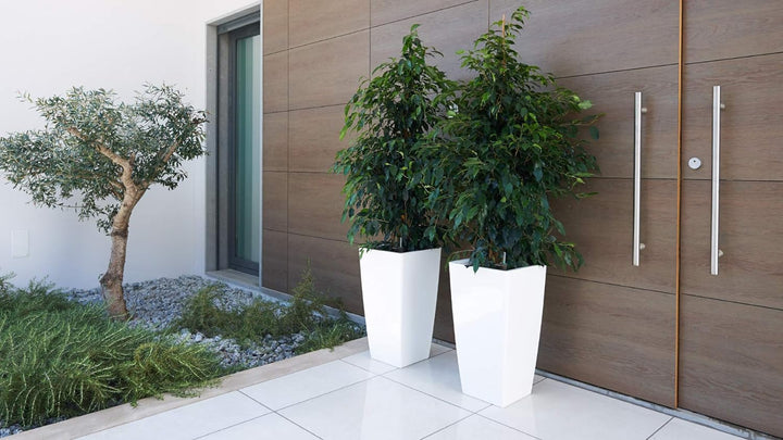 PISA POT 60CM SELF WATERING TAUPE Taupe 33x33x61 cm, Taupe 33x33x61 cm