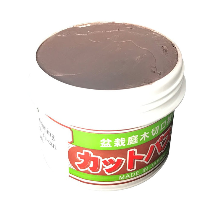 Japanischer Mastix, Heilpaste speziell für Bonsai-Laubbäume, 160 g
