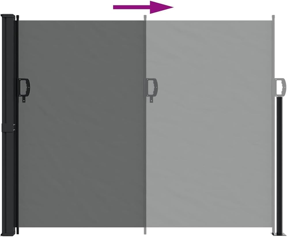 vidaXL Ausziehbare Seitenmarkise Anthrazit 160x300 cm 160 x 300 cm Anthrazit, 160 x 300 cm Anthrazit
