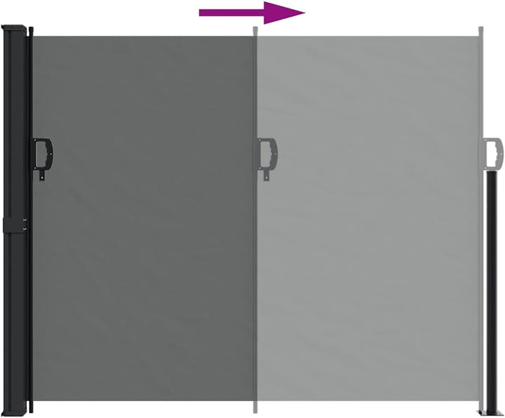 vidaXL Ausziehbare Seitenmarkise Anthrazit 160x300 cm 160 x 300 cm Anthrazit, 160 x 300 cm Anthrazit
