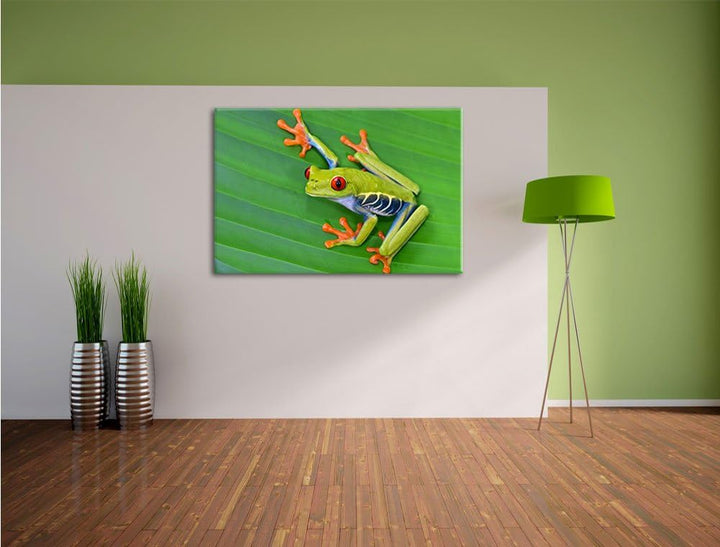 Pixxprint Kleiner grüner Frosch auf Blatt / 100x70cm Leinwandbild bespannt auf Holzrahmen/Wandbild K