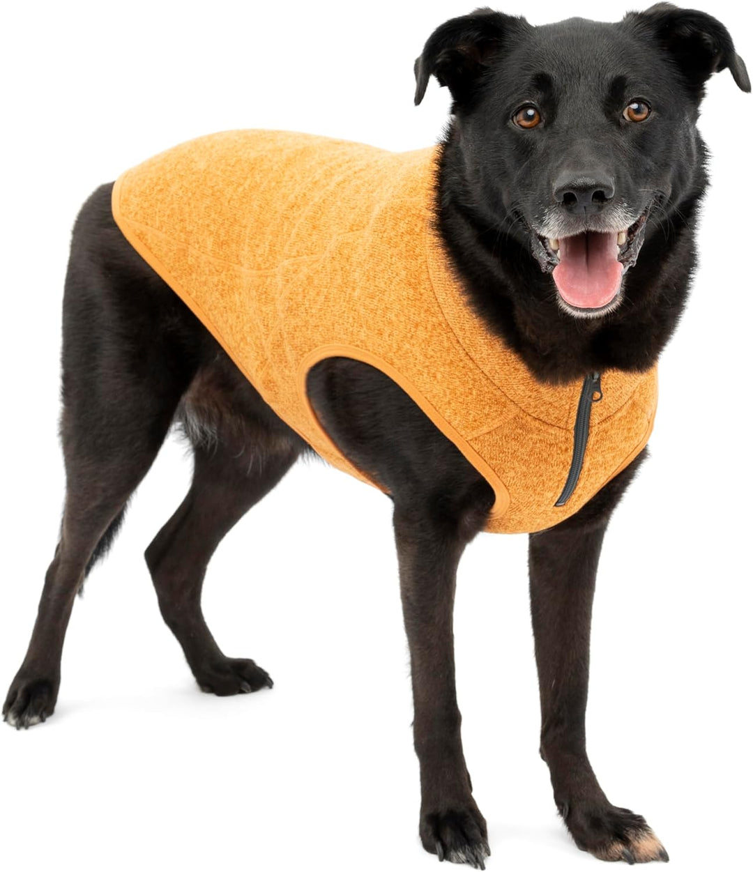 Kurgo K9 Core Hundepullover | Ganzjahrespullover für Hunde | Hunde-Fleece-Weste | Strickfleece-Haust
