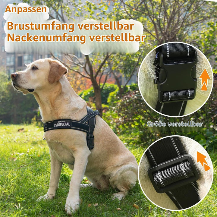 Eeyfarog No Pull Hundegeschirr für kleine mittelgrosse Hunde, reflektierend ausbruchsicher verstellb