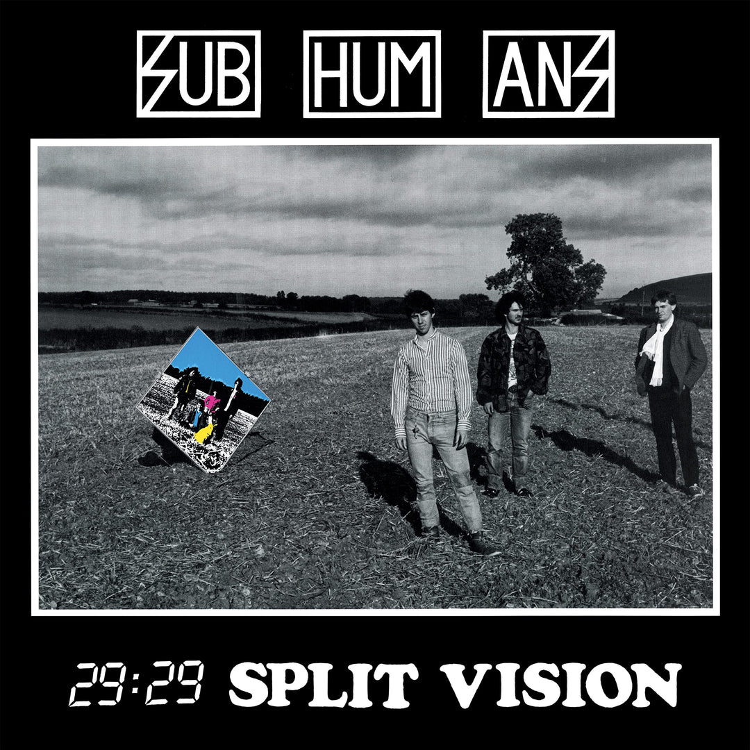29:29 Split Vision, Vinyl