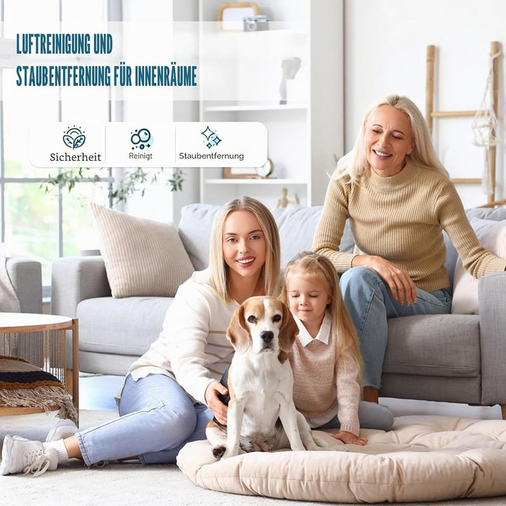 2 Stück Indoor Luftreinigung Staub Entfernung Magic Box,Multifunktionale Lufterfrisch Staubfänger Fü