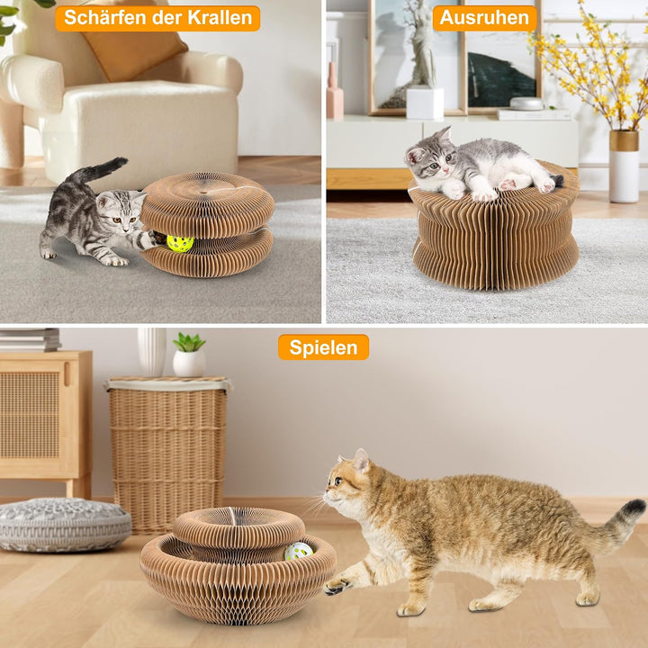 Kratzbrett Katze, 2-in-1 Cat Kratzbrett mit Glöckchen, Magische Orgel Cat Scratching Board, Zusammen