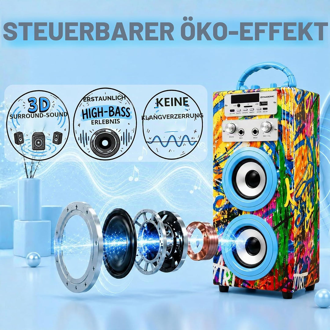 DYNASONIC Karaoke mit 2 Mikrofonen, tragbarer Karaoke-Maschine, Bluetooth-Lautsprecher, USB- und SD-