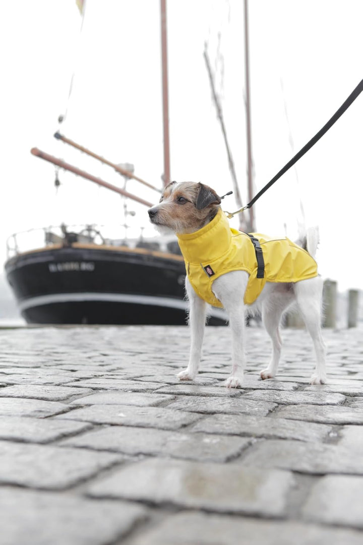 TRIXIE Regenmantel Vimy für Hunde M gelb – Hunde-Regenjacke mit reflektierenden Elementen für mehr S