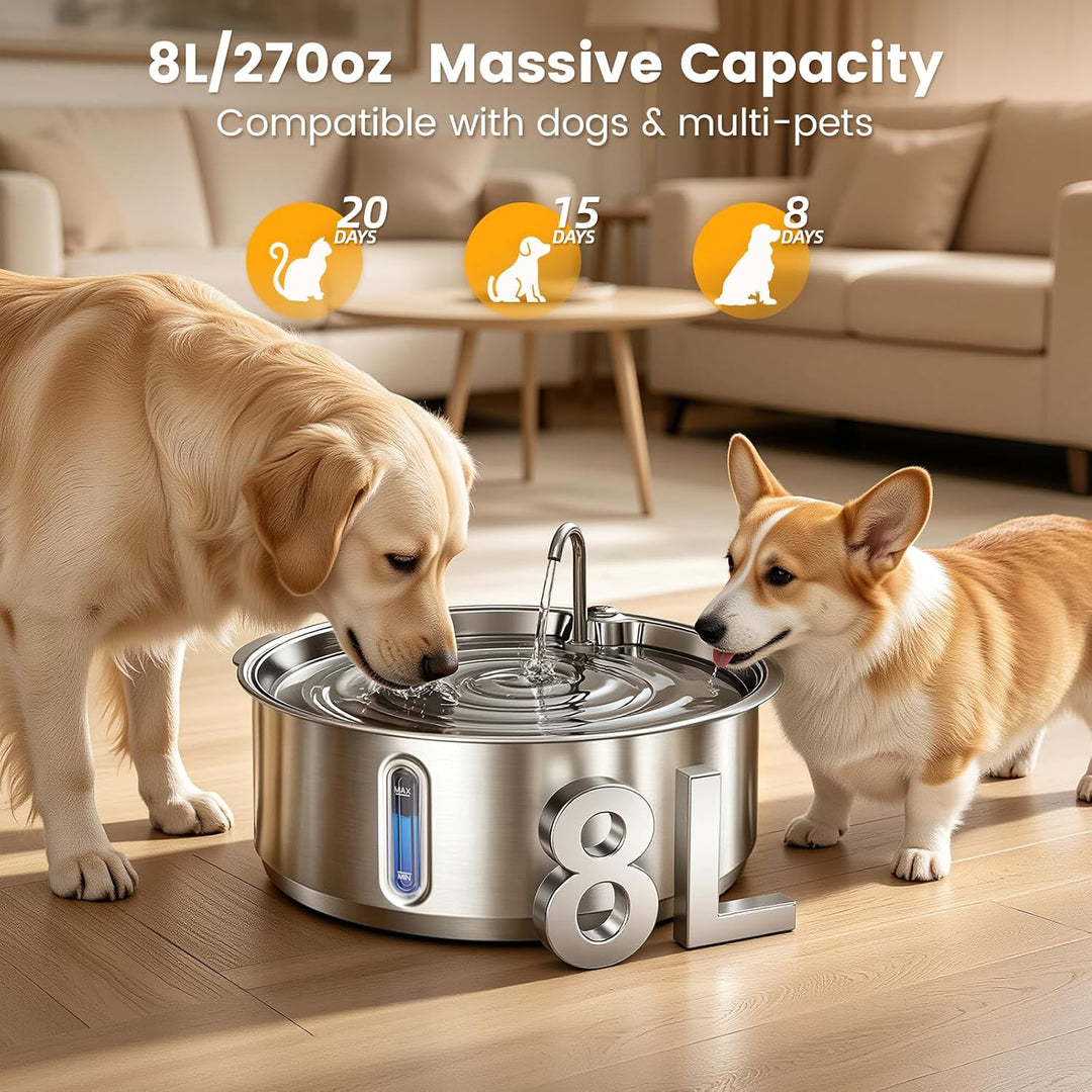 Invengo 8L leiser Hundetrinkbrunnen aus Edelstahl, 12 Filter | 50% dickerer 6-mm-Stahl, Doppelfilter