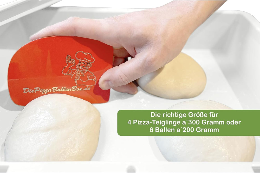 RoyalFay Pizzaballenbox Made in Germany lebensmittelecht 30x40x8 cm (2 Boxen mit 2 Deckeln (Doppelpa