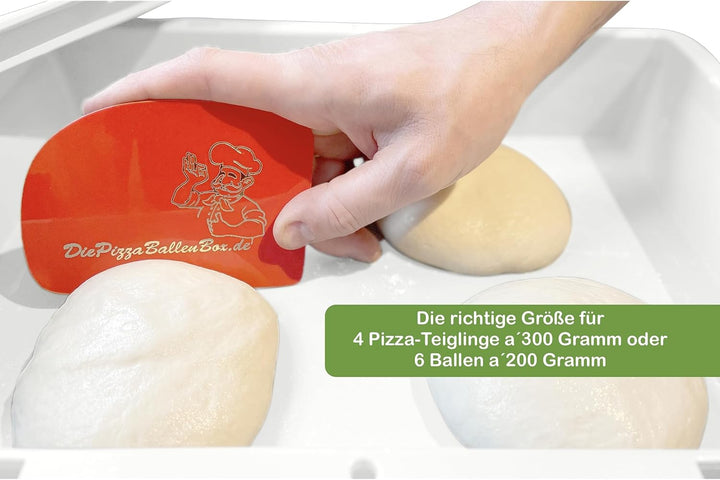 RoyalFay Pizzaballenbox Made in Germany lebensmittelecht 30x40x8 cm (2 Boxen mit 2 Deckeln (Doppelpa