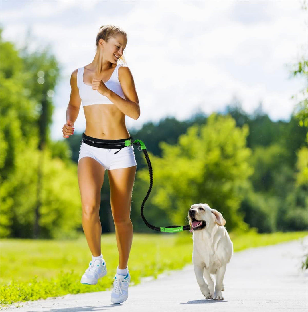 Leisegrün Hundeleine grosse Hunde, elastische Laufleine &amp; Joggingleine, Grosse Hunde
