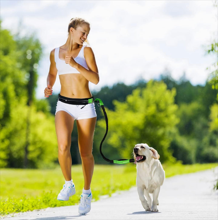 Leisegrün Hundeleine grosse Hunde, elastische Laufleine &amp; Joggingleine, Grosse Hunde