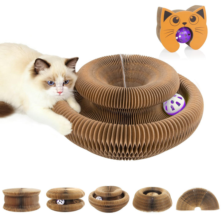 Kratzbrett Katze, 2-in-1 Cat Kratzbrett mit Glöckchen, Magische Orgel Cat Scratching Board, Zusammen