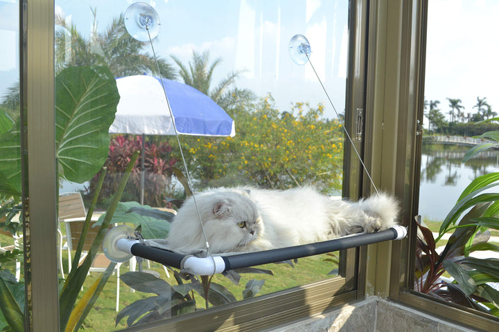 Katzen-Hängematte mit Saugnapf für Fenster, Sonnensitz, sehr stark, schwarz Gross schwarz, Gro&amp;