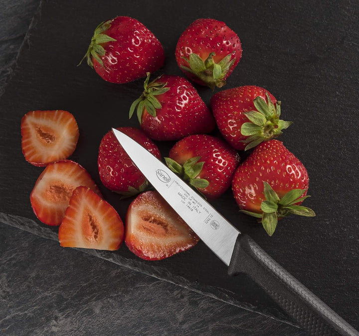 Sanelli Linea Skin Farbe Messer Frankreich, Edelstahl