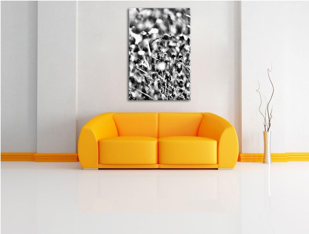 Pixxprint Bunte Gräser, Pflanzen, Natur / 100x70cm Leinwandbild bespannt auf Holzrahmen/Wandbild Kun
