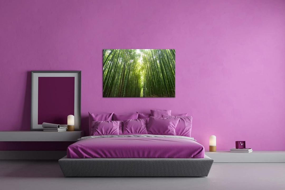 in die Höhe wachsender Bambus Format: 60x40 als Leinwandbild, Motiv fertig gerahmt auf Echtholzrahme