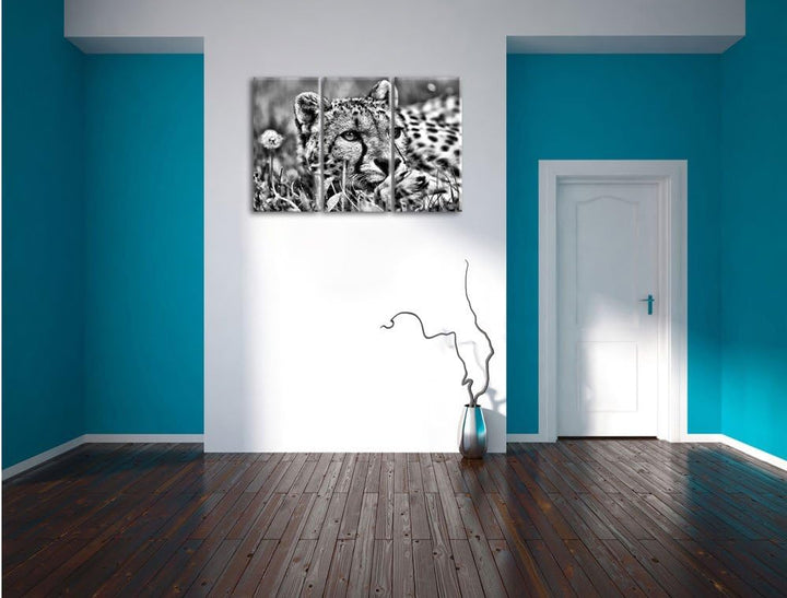 Pixxprint Monocrome, Gepard im Gras 3-Teiler Leinwandbild 120x80 Bild auf Leinwand