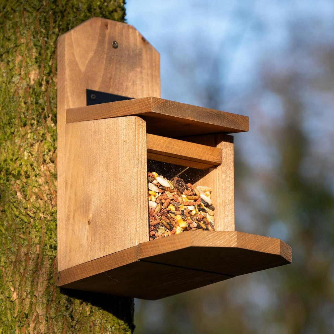 dobar® Eichhörnchen Futterstation - Eichhörnchen Futterhaus mit Acrylglasscheibe - Futterstelle mit