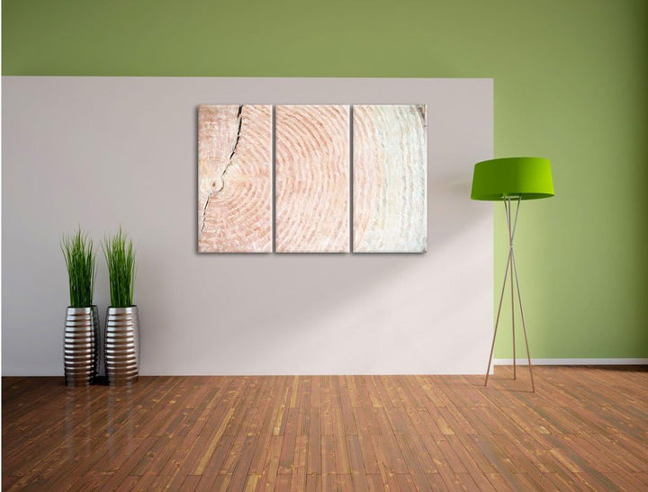 Pixxprint Baumstamm Jahresringe / 3-Teilig/Gesamtmass 120cm Leinwandbild bespannt auf Holzrahmen/Wan