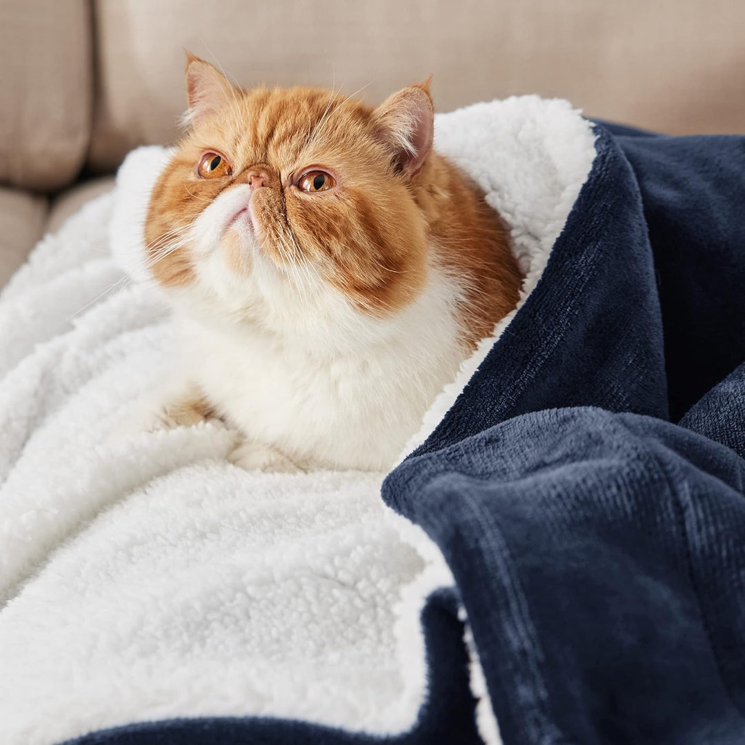 BEDSURE Kuscheldecke - Warm Sherpa Wolldecke &amp; Sofadecke, Flauschig Sofaüberwurf Decke, Dicke Couchd