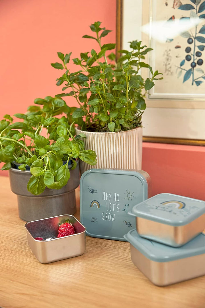 LÄSSIG Snackbox 3er Set Edelstahl 3 Stück Garden Explorer Grün, Gr&amp;