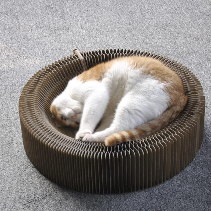 Wellpapier Kratzbaum, Kratzbrett Faltbare Katze Kratzer Wellpappe Katzenspielzeug Katzenbett Interak