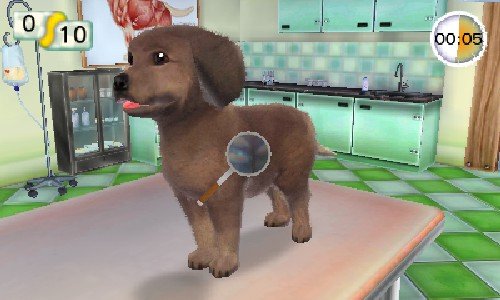 Pets Paradise Resort 3D