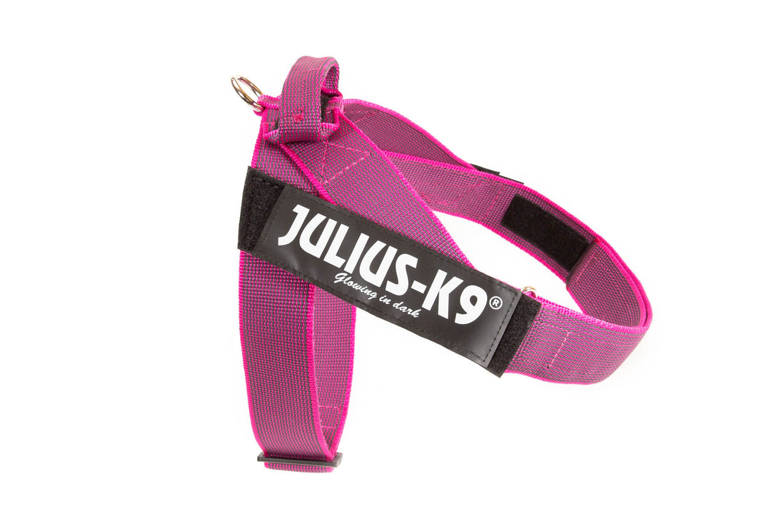 Julius-K9, Color &amp; Gray, Beltgeschirr XL / 2 pink-grau, XL / 2 pink-grau
