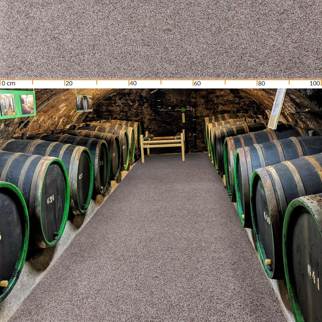 ANRO Fussmatte Schmutzfangmatte Teppich Läufer Sauberlaufmatte rutschfest Indoor Outdoor abwaschbar