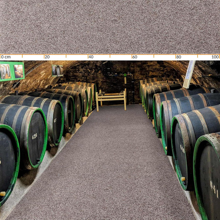 ANRO Fussmatte Schmutzfangmatte Teppich Läufer Sauberlaufmatte rutschfest Indoor Outdoor abwaschbar