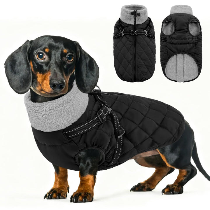 Queenmore Wintermantel Hund mit Geschirr Hundemantel Wasserdicht S schwarz, S schwarz