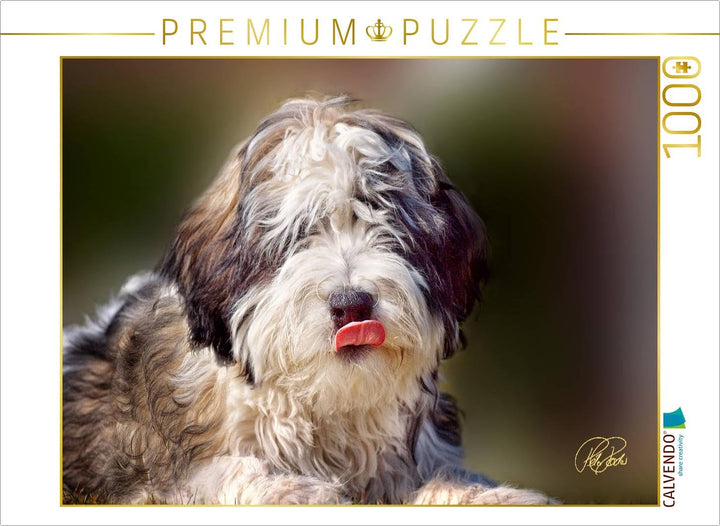 CALVENDO Puzzle Der PON 1000 Teile Lege-Grösse 64 x 48 cm Foto-Puzzle Bild von Peter Roder, 1000 Tei