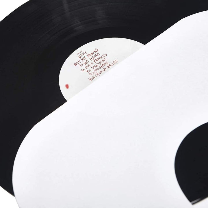 BIG FUDGE Vinyl Schutzhüllen - 50 Innenhüllen &amp; 50 Aussenhüllen für 12 Inch Schallplatten - LP Hülle