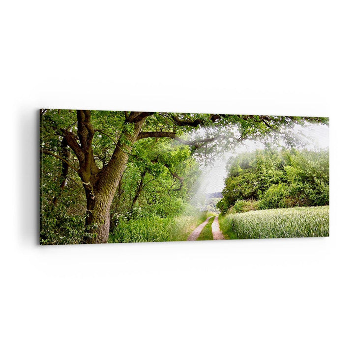 Wandbilder Dekoration Wohnzimmer Pfad Natur Wald Grün Panorama Bilder auf Leinwand 120x50cm Leinwand
