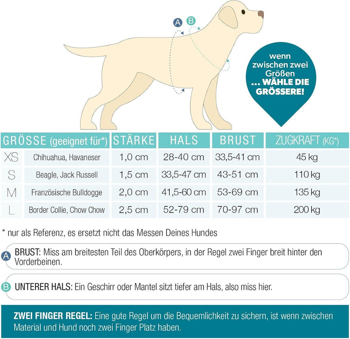 Max &amp; Molly Hundegeschirr Matrix 2.0 Rose/M in H-Form, für Hunde mit Gotcha! Smart ID, Geschirr Hund