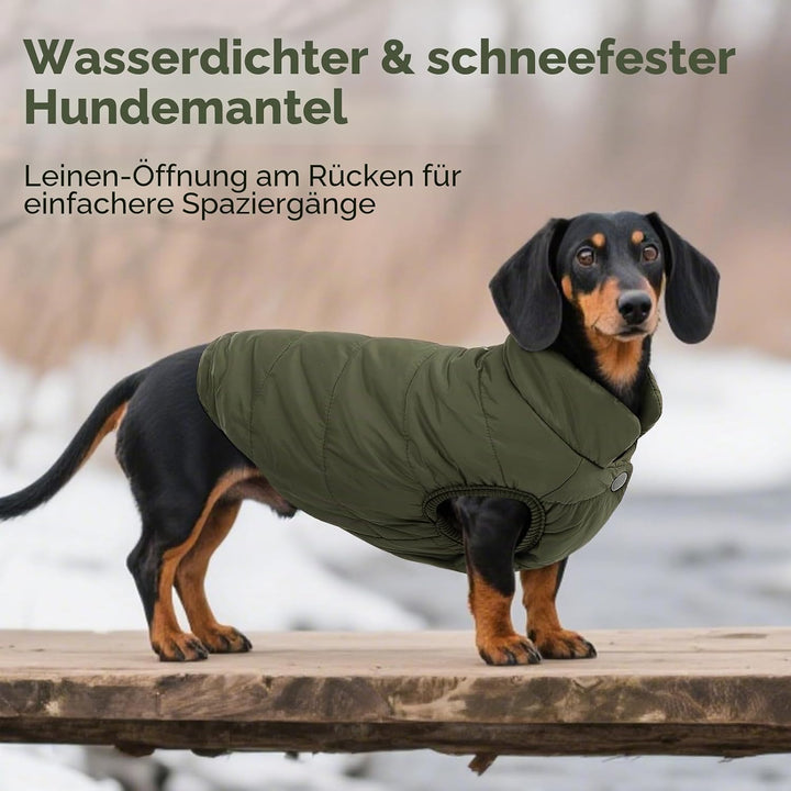 ASENKU Hundemantel für Kleine Hunde,Winddichte Hundejacke Winter wasserdichte Hundemantel mit Geschi